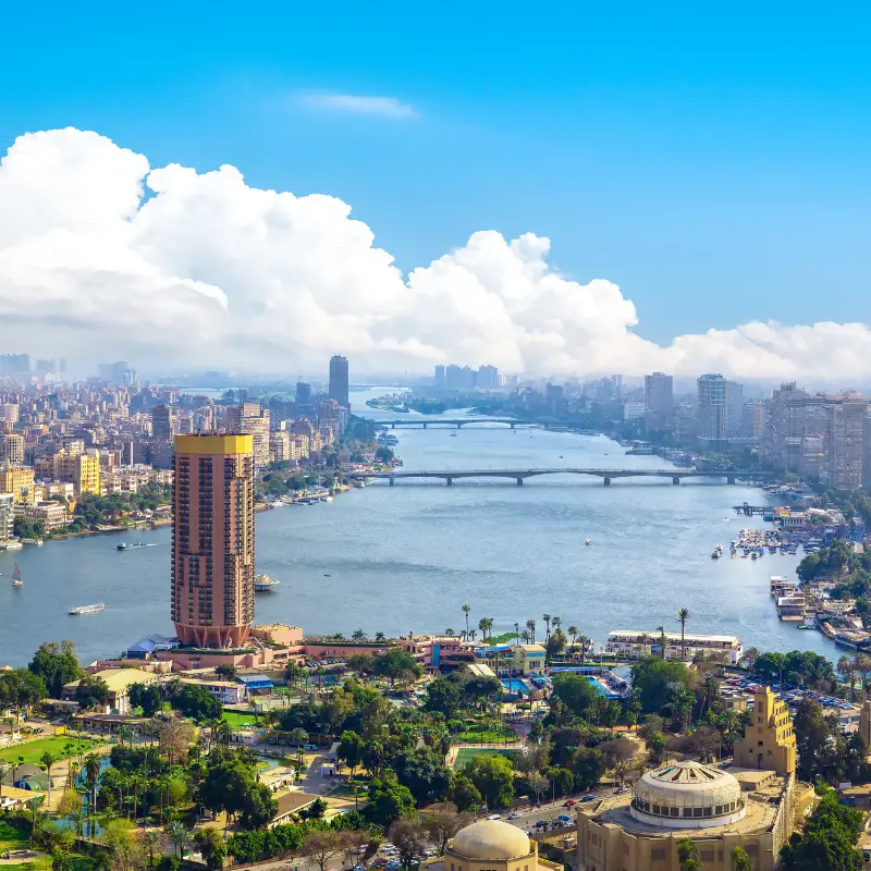 Clinical Trial Imports into Egypt: Challenges & Solutions
