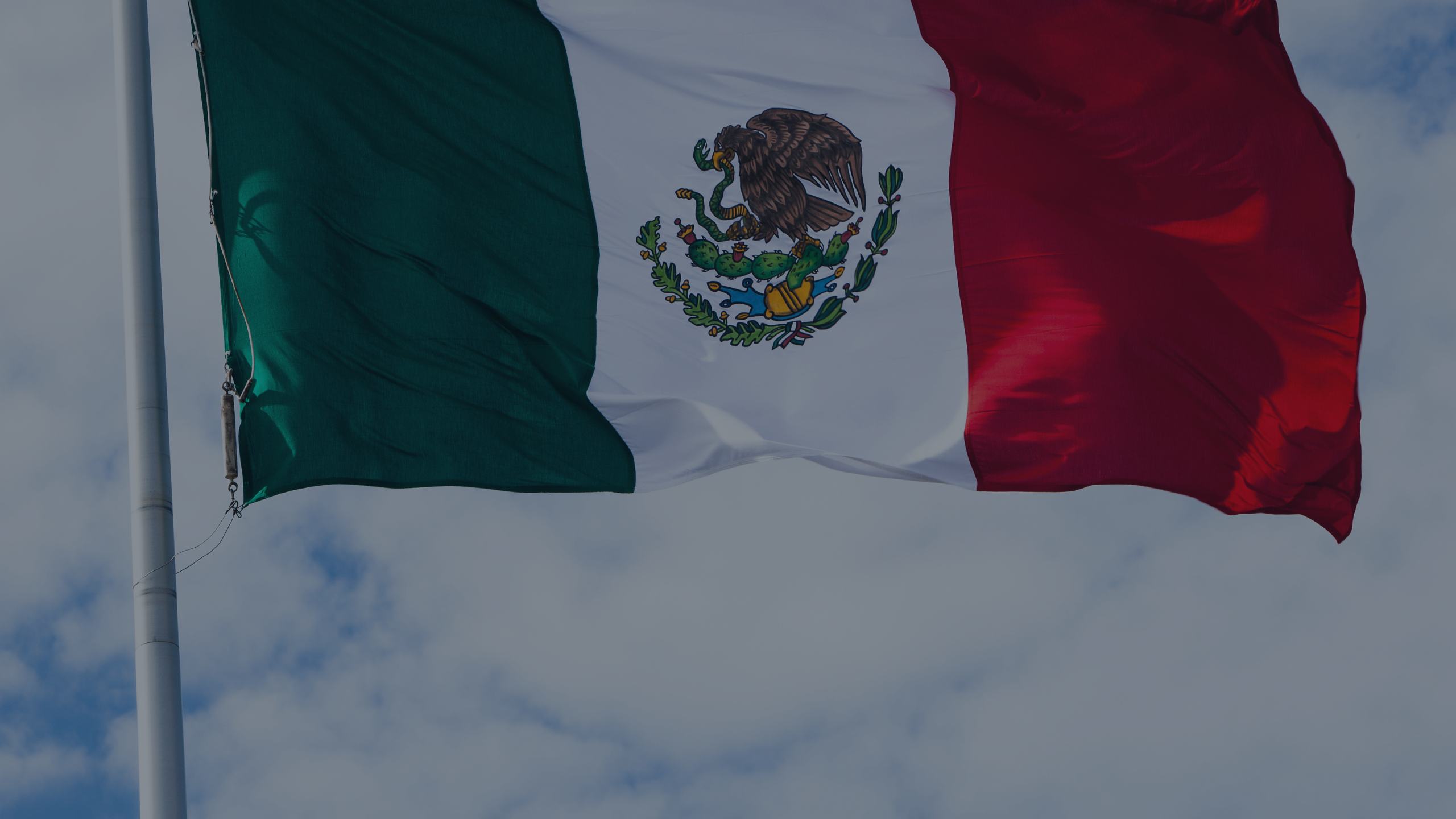 The Flag of Mexico blowing in the wind against a sky background depicts import into Mexico.